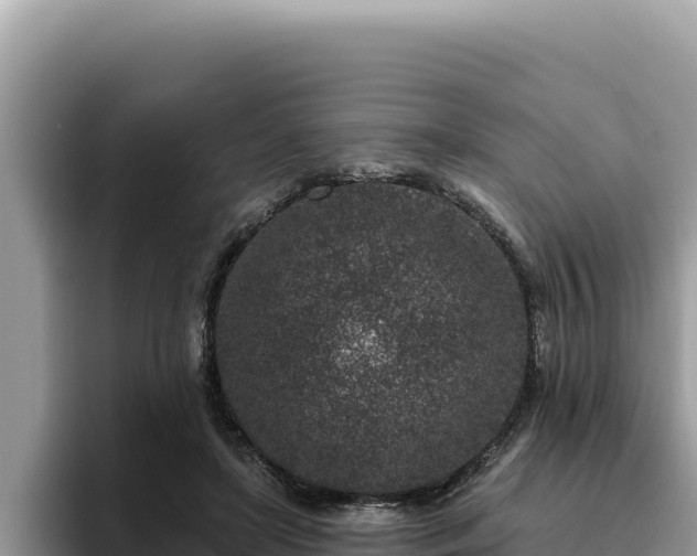 X0000095900451200801181249