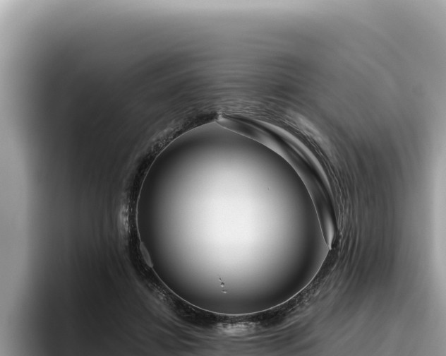 X0000095900452200801181249