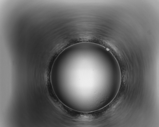 X0000095900455200801181249