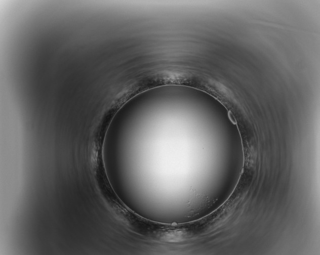 X0000095900456200801181249