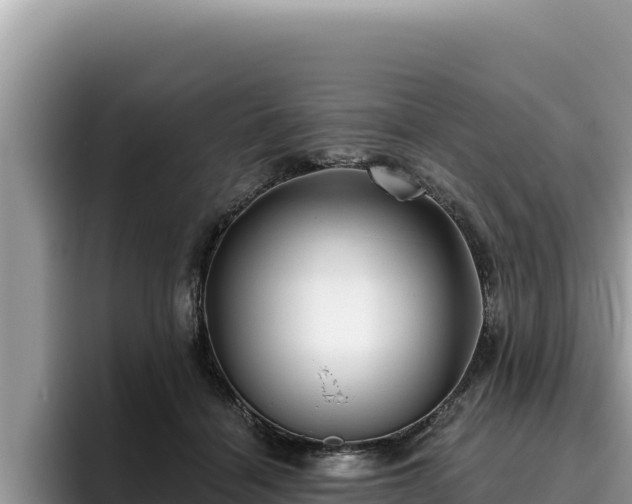 X0000095900460200801181249