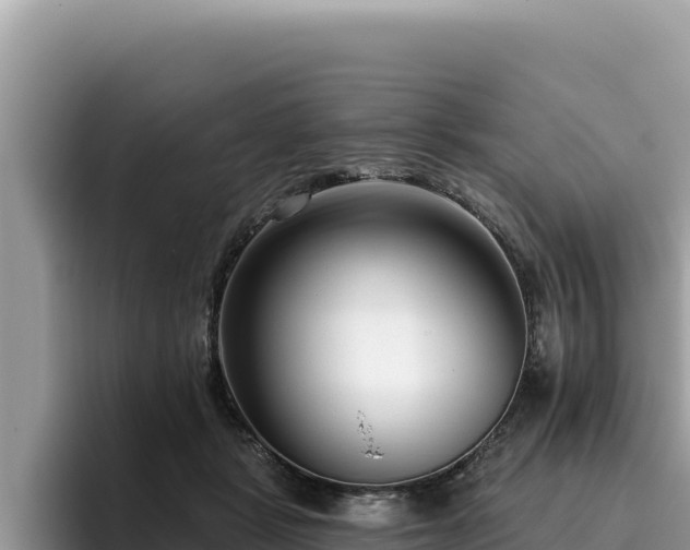 X0000095900461200801181249