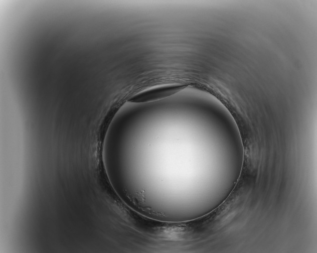 X0000095900462200801181249