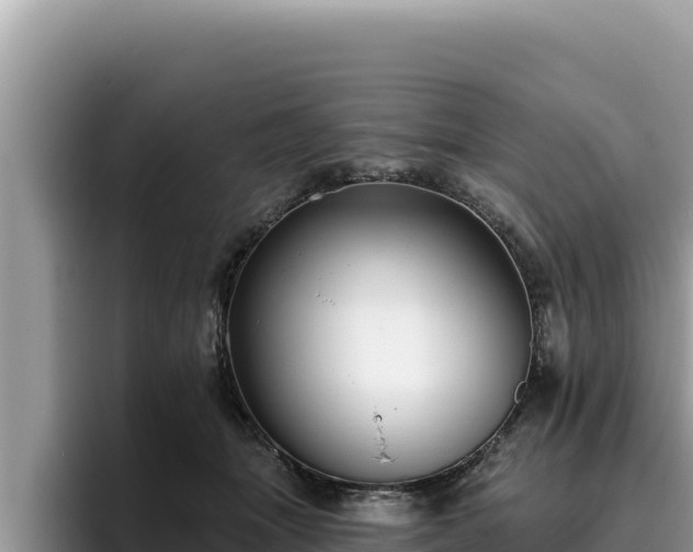 X0000095900463200801181249