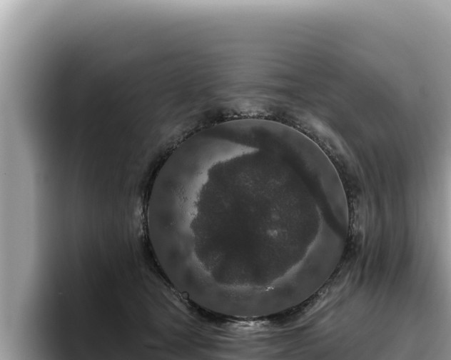 X0000095900465200801181249