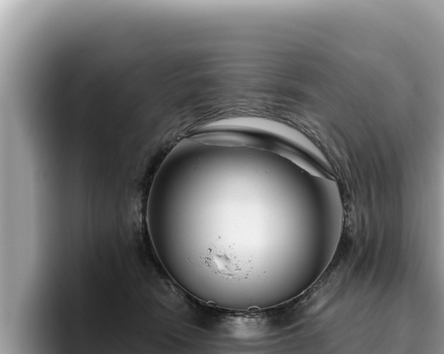 X0000095900466200801181249