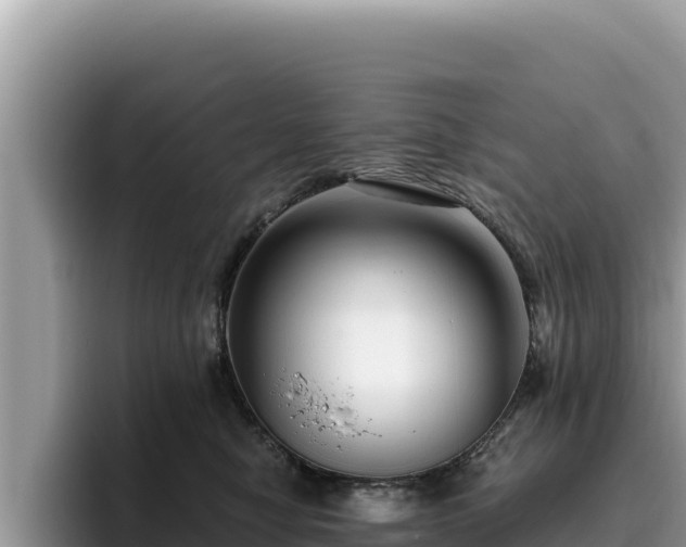 X0000095900470200801181249