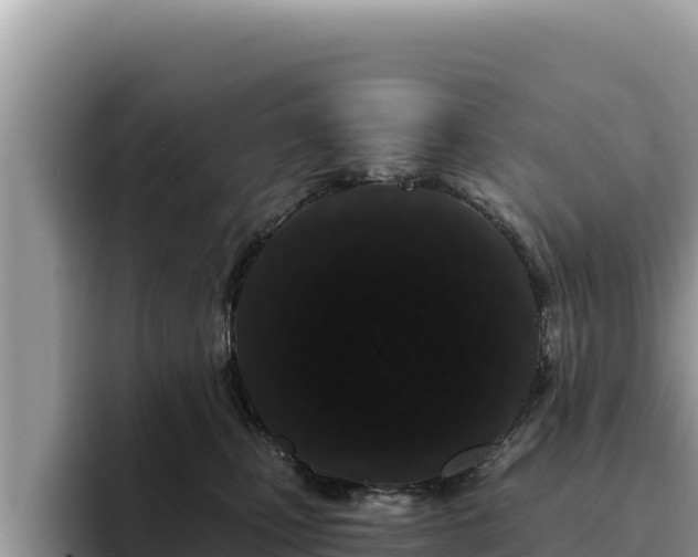 X0000095900471200801181249