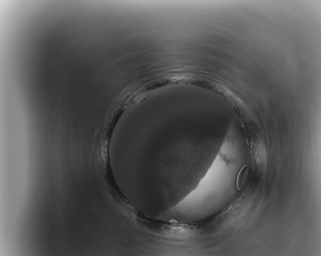 X0000095900475200801181249