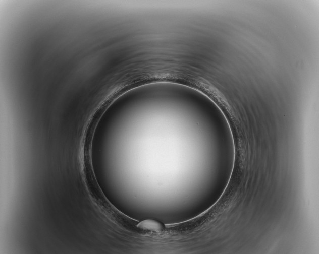 X0000095900482200801181249