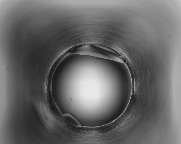 X0000095900483200801181249