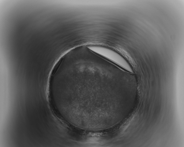 X0000095900484200801181249