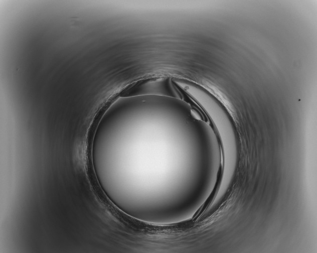 X0000095900485200801181249