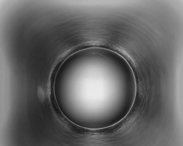 X0000095900486200801181249