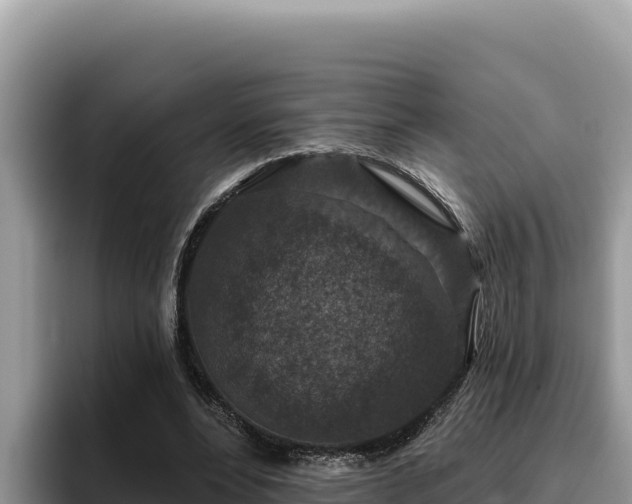 X0000095900488200801181249