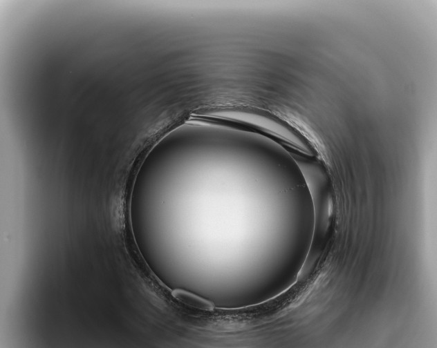 X0000095900489200801181249