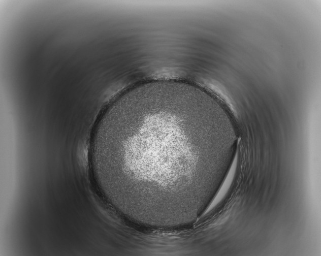 X0000095900491200801181249