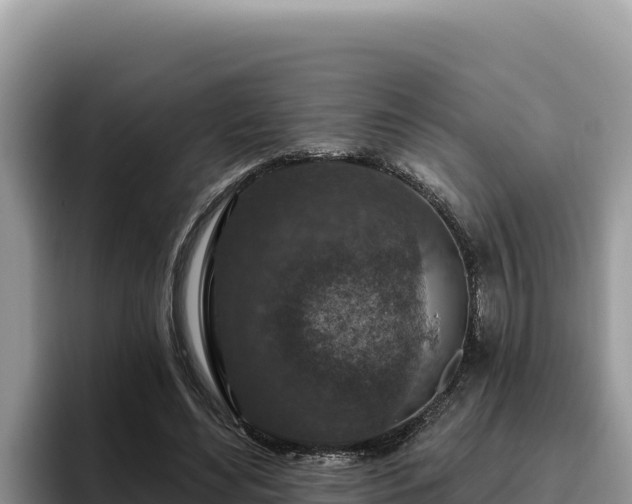 X0000095900492200801181249