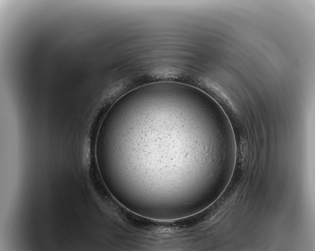 X0000095900494200801181249