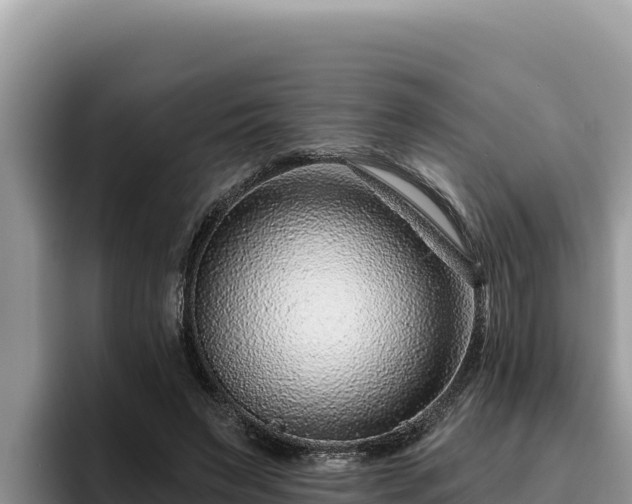 X0000095900495200801181249