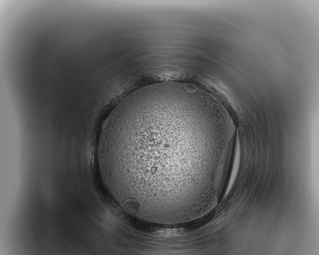 X0000095900499200801181249