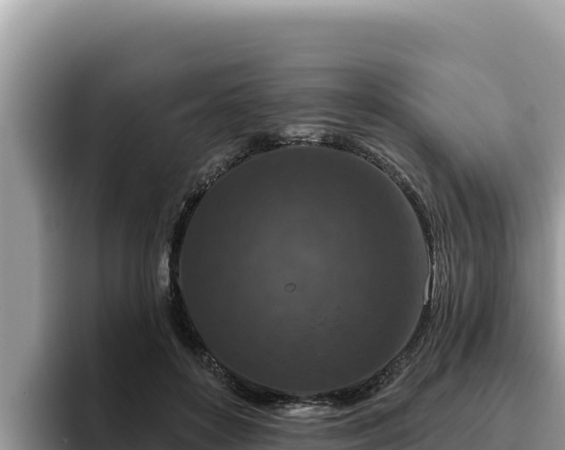 X0000095900504200801181249