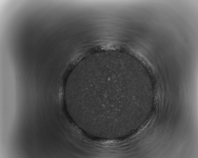 X0000095900513200801181248