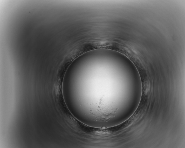 X0000095900515200801181248