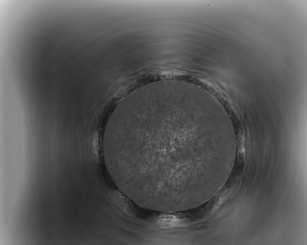 X0000095900519200801181248