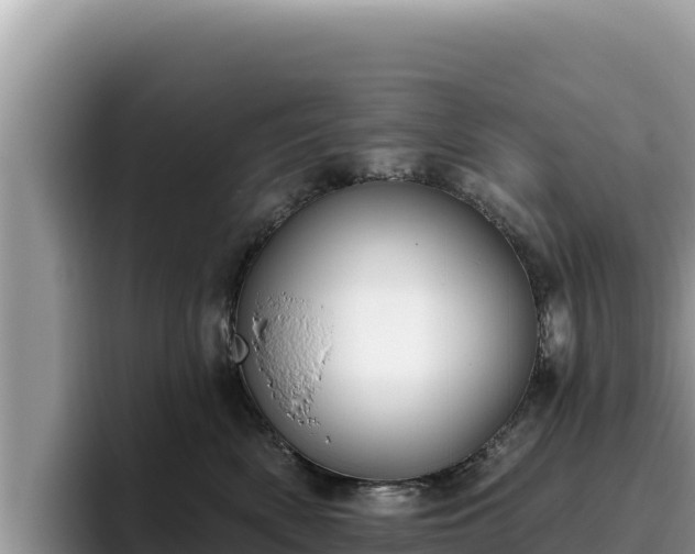 X0000095900522200801181248