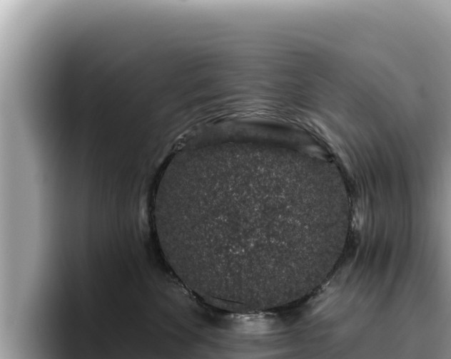 X0000095900524200801181248