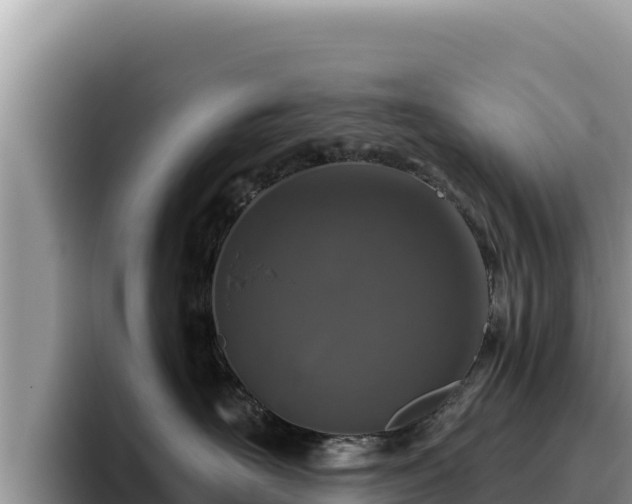 X0000095900526200801181248