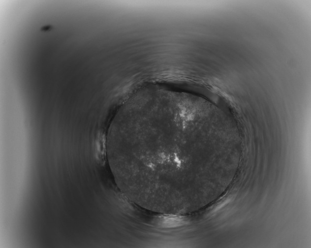 X0000095900528200801181248