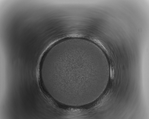 X0000095900531200801181248