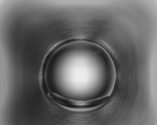 X0000095900532200801181248