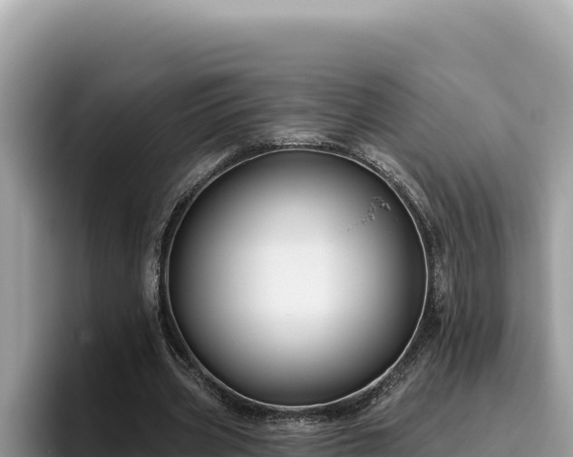 X0000095900533200801181248