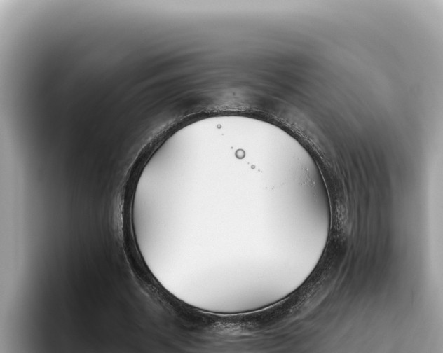 X0000095900534200801181248