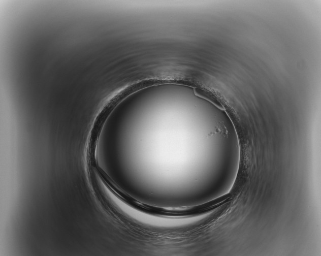 X0000095900536200801181248