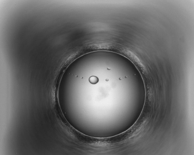 X0000095900537200801181248