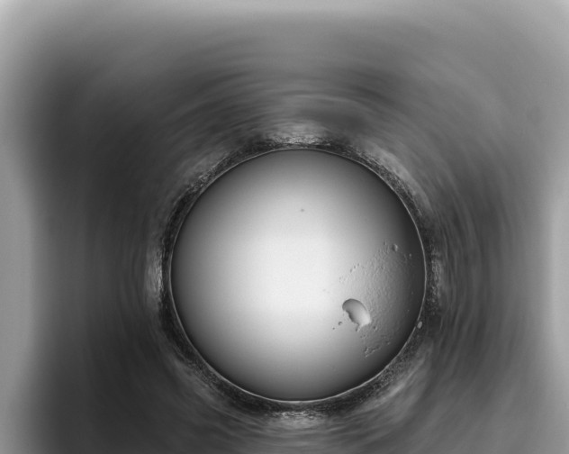 X0000095900541200801181248