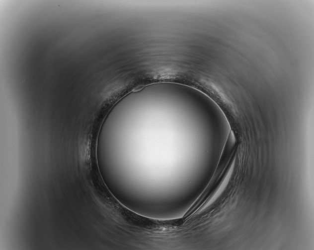 X0000095900543200801181248