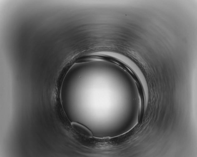 X0000095900544200801181248