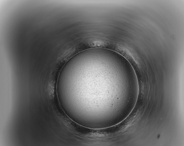 X0000095900545200801181248