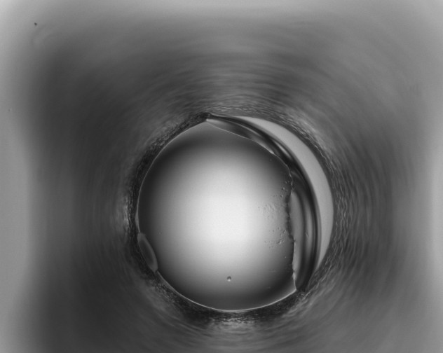 X0000095900546200801181248