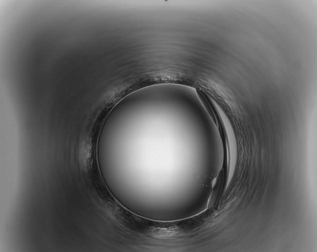 X0000095900548200801181248