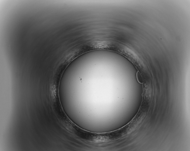 X0000095900549200801181248