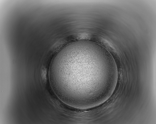 X0000095900550200801181248