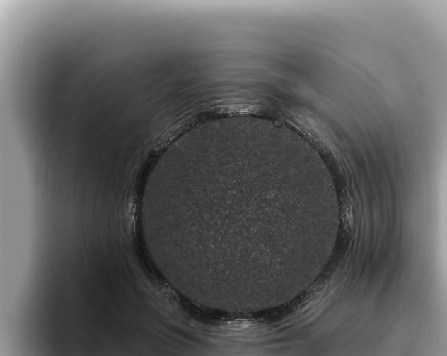 X0000095900551200801181248