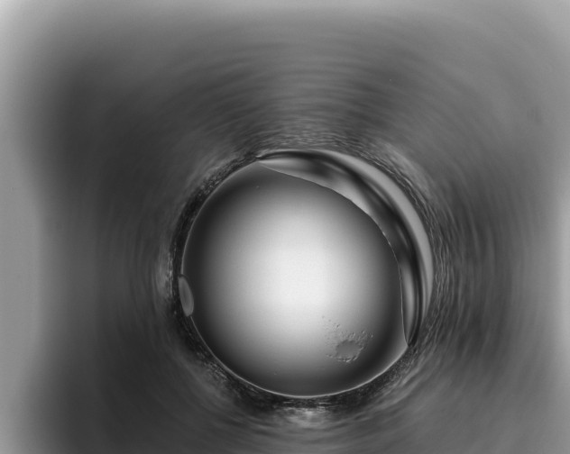 X0000095900552200801181248