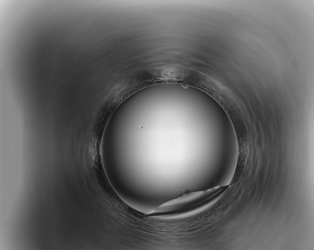 X0000095900554200801181248